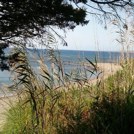 קיוטארי Alisahni Beachfront Villas מראה חיצוני תמונה